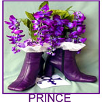 whose shoes shoe Prince Purple Rain